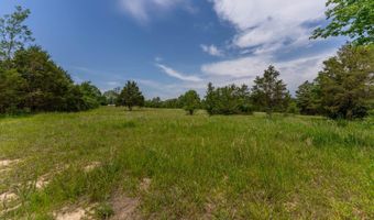 676 County Road 403, Alton, MO 65606