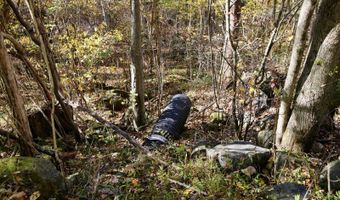595 Rock Creek Ridge Rd, Bakersville, NC 28705