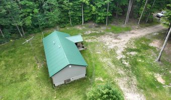 212 3rd Ave, Alden, MI 49646