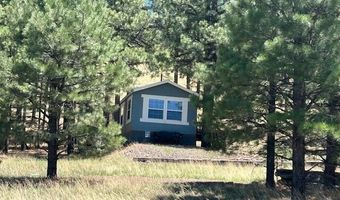 450 County Road 2104, Alpine, AZ 85920