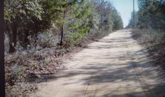 Noland Pond Road, Alford, FL 32420
