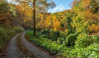 99999 Harwood Rd, Barnardsville, NC 28709