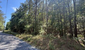 Appian Way, Baconton, GA 31716