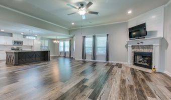 2091 Ferndale Cv, Alexander, AR 72002