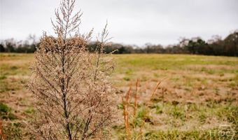 Yancey Road, Arnoldsville, GA 30619