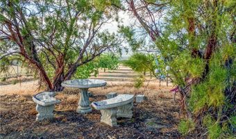 43175 Brownie St, Aguanga, CA 92536