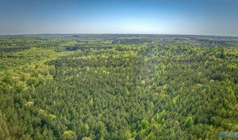 87 Acres Kay Hollis Rd, Beaverton, AL 35544