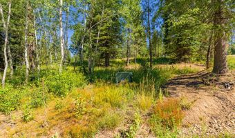 151 Timber Haven Pl, Cascade, ID 83638
