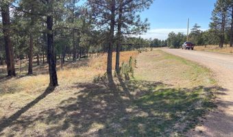 Tract 48 Hickok Drive, Hot Springs, SD 57730