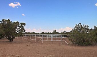 45 County Road 8093, Concho, AZ 85924