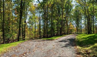 7337-4 B DICK WOODS Rd, Afton, VA 22920