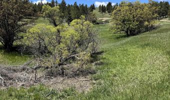 11 Tower Ridge Dr, Devils Tower, WY 82714