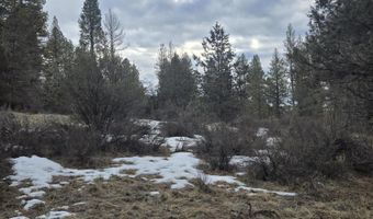 Jaguar Lane lot 7 & 8, Bonanza, OR 97623