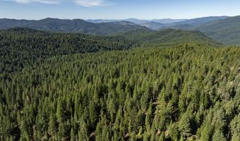 Hungry Ridge, Ashland, OR 97520