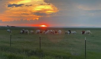 7069 Mainwaring Rd, Billings, MT 59002