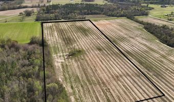 15 Acres Antioch Church Rd, Ashford, AL 36312