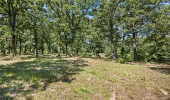 425 Hartwick Ln, Atkins, AR 72823