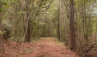 6154 Rudder Ln, Awendaw, SC 29429