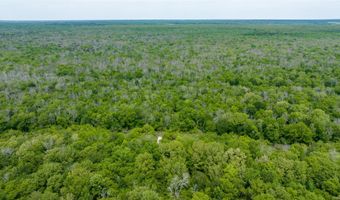 CR 4630, Annona, TX 75550