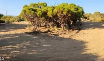 54151 Springs Trl, Anza, CA 92539