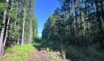 Jarvis Landing Road, Aurora, NC 27806