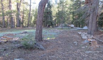175 Silver Tip Dr, Bear Valley, CA 95223