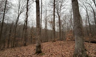 TBD1 E Willow Rd, Bloomfield, IN 47424