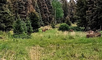 Lot 1220 Rainbow Overlook, Angel Fire, NM 87710