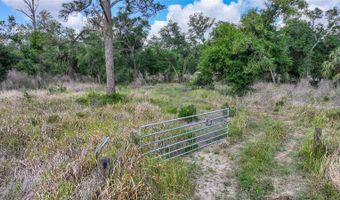 2143 SW BLOSSOM Ave, Arcadia, FL 34266