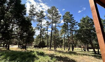 102 Pine Cone Ln, Alto, NM 88312