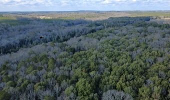 County Road 72, Ariton, AL 36311