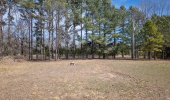 838 Indian Trl, Ash Flat, AR 72513