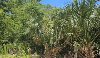 6 Red Bay Ct Lot 394, Bald Head Island, NC 28461