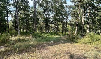 205 Sunshine Ln, Batesville, AR 72501