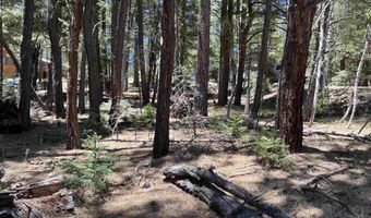 Alpine Lake Way Lot 3 Blk E, Angel Fire, NM 87710