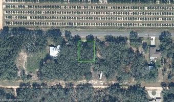 3227 W County Line Rd, Avon Park, FL 33825