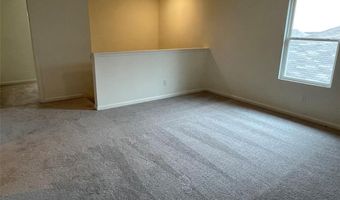 2629 Silver Leaf Ln, Anna, TX 75409