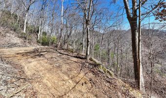 99999 Green Ridge Falls Rd 17, Barnardsville, NC 28709