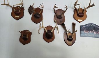 9606 MUNGER Rd, Afton, MI 49705