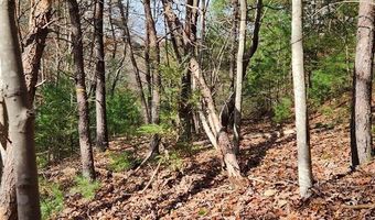 290 Angels Pass Dr Lot 1, Bastian, VA 24314