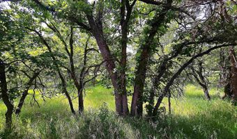 3159 Mona Rd, Aladdin, WY 82710