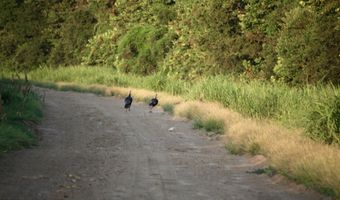 Bolivar Road, Benoit, MS 38725