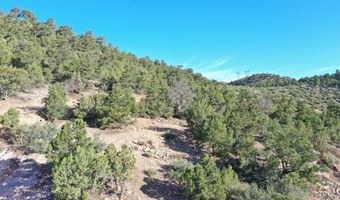 Butch Cassidy Circle, Central, UT 84722