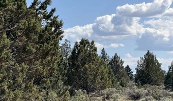 TL 300 HWY 140, Beatty, OR 97621