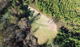 1228 River Rd, Ariton, AL 36311