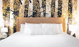 901 E Hyman Ave 4, Aspen, CO 81611