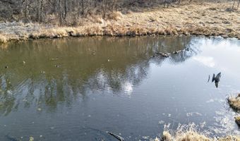 271 18 Acres Zwettler/Foster Rd, Arena, WI 53503