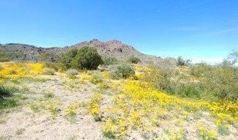 2624 S Gold Mine Rd, Yucca, AZ 86438