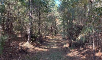 Smith County Road 18-5a, Bay Springs, MS 39422
