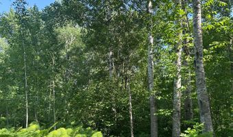 250 Th St, Aitkin, MN 56431